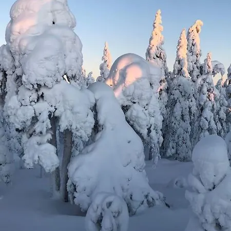 Stella Lapponia Two Floors 200 Sqm *